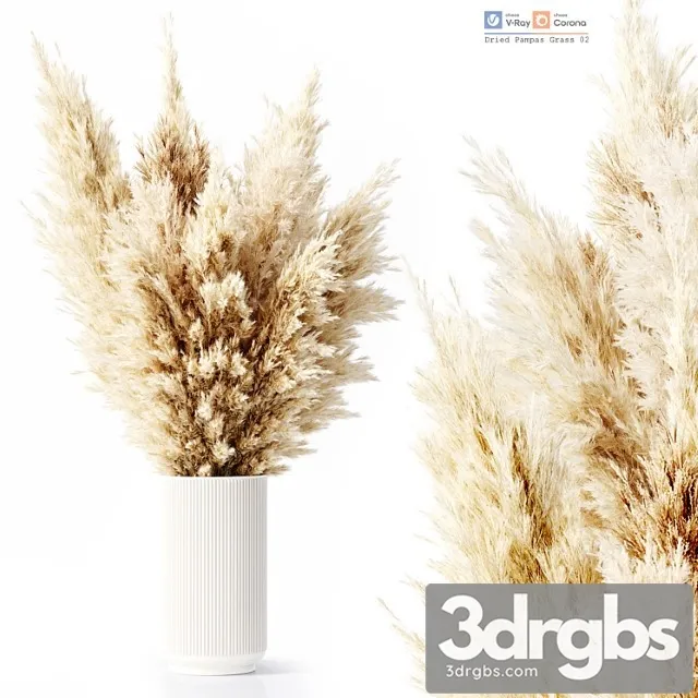 Dried Pampas Grass 02 Free Download