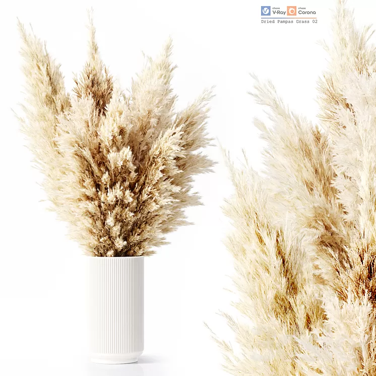 Dried Pampas Grass 02 3D Model Free