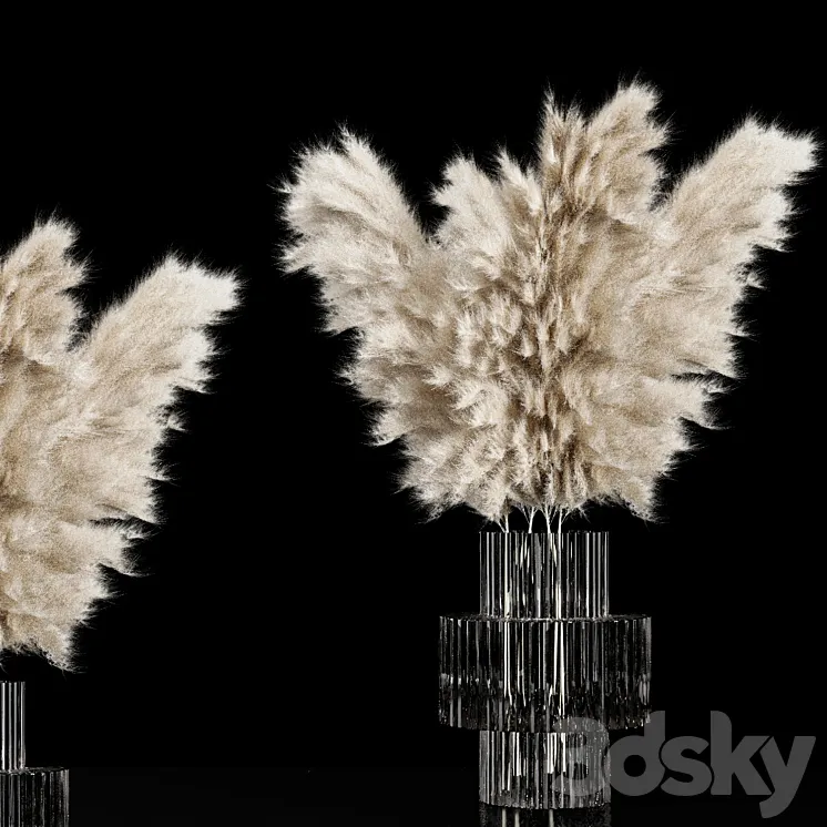 Dried Pampas Plant 3D Model Free
