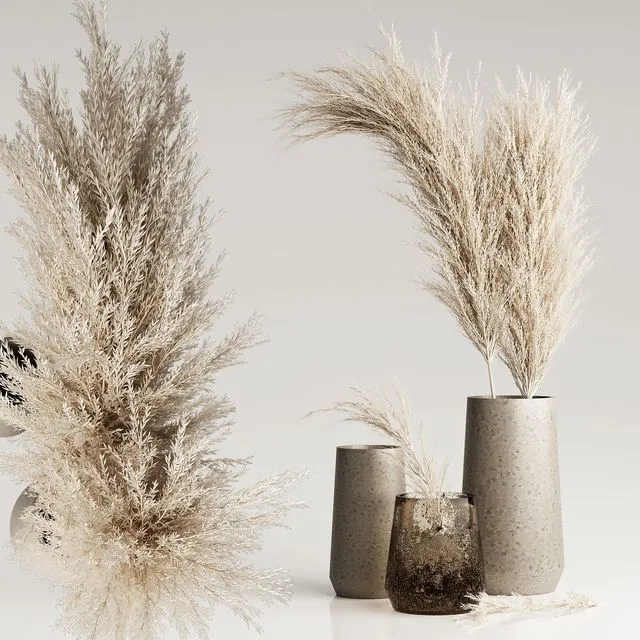 Dried Pampas Plant in Vases 3D Model
