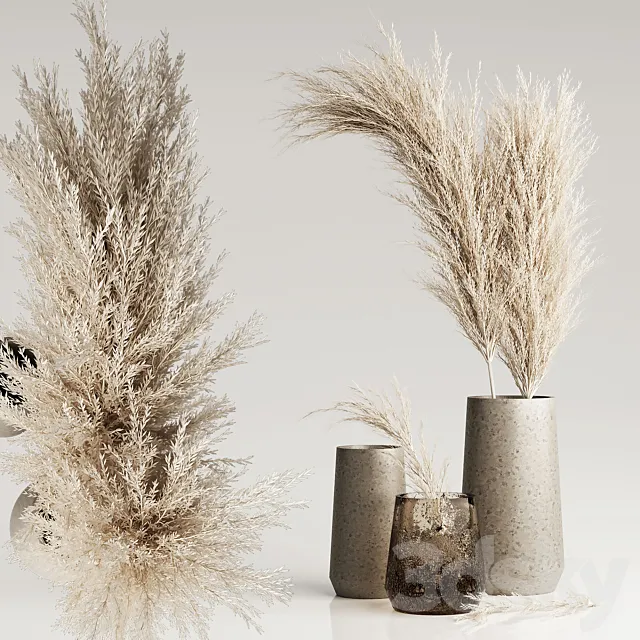 Dried Pampas Plant in Vases Free Download