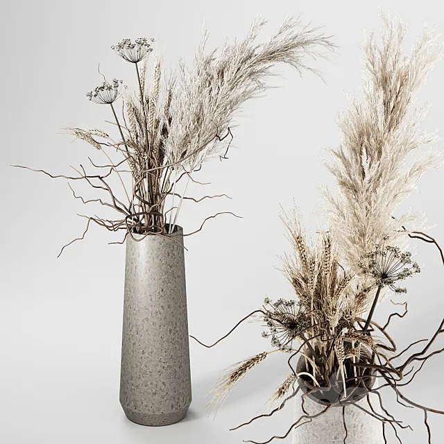 Dried Plants Bouquet in Vase 3D Model