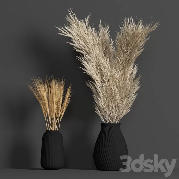 Dried Wheat and Pampas grass set 3D Model