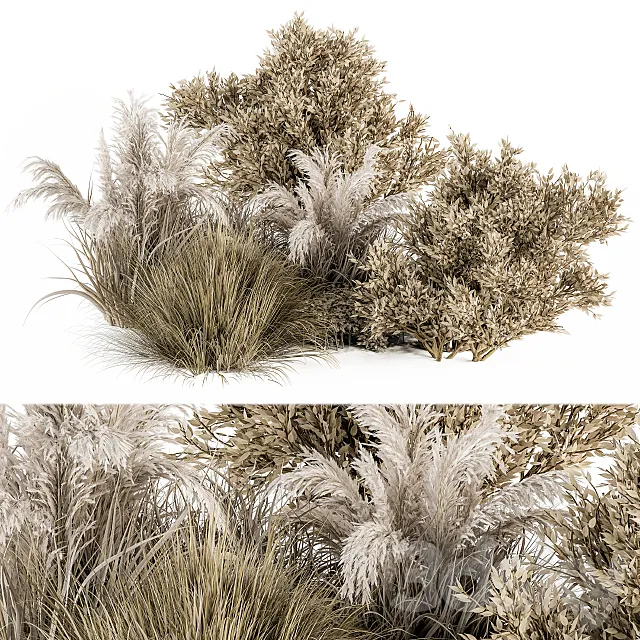 Dried Wild Plants Bush - Bush Set 36 Free Download