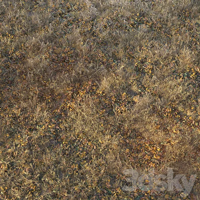 Dry autumn grass 3D Model