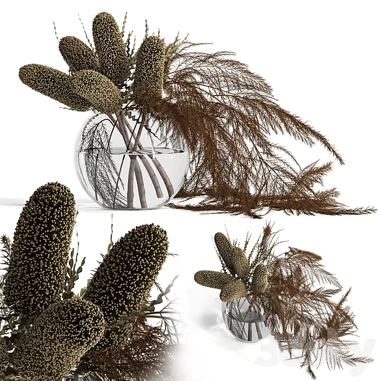 Dry banksia and fern 3D Model