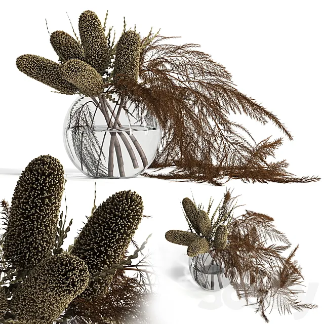 Dry banksia and fern 3DModel