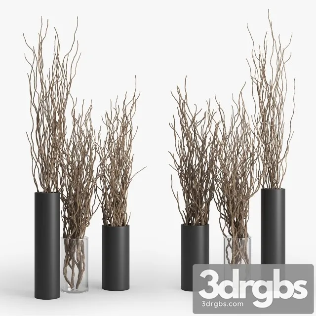 Dry Branch 3D Model Free