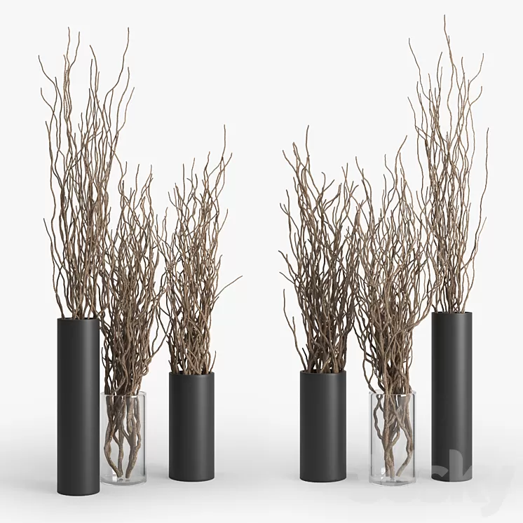 Dry Branch 3D Model Free