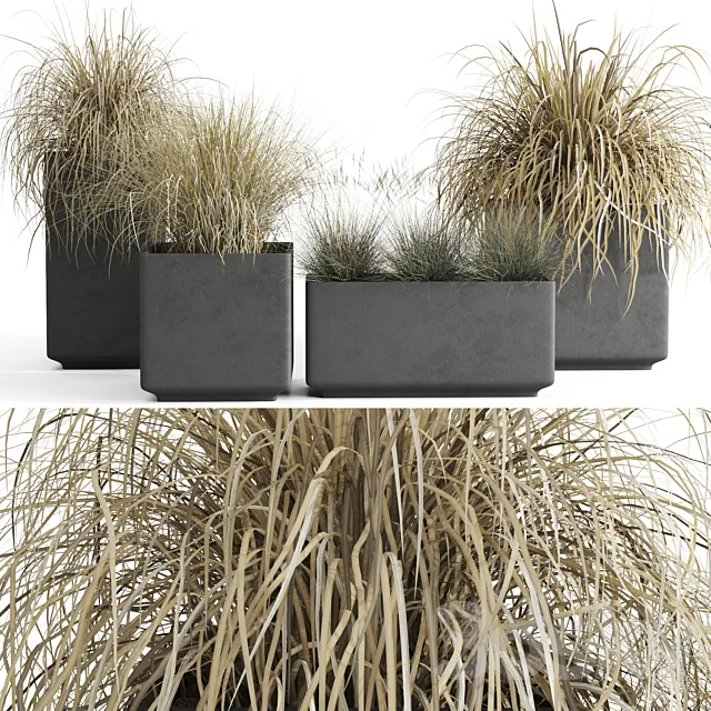 Dry decorative cereals in pots 3D Model