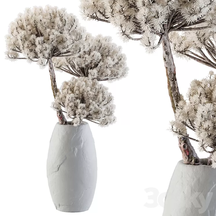 Dry decorative plant 3D Model