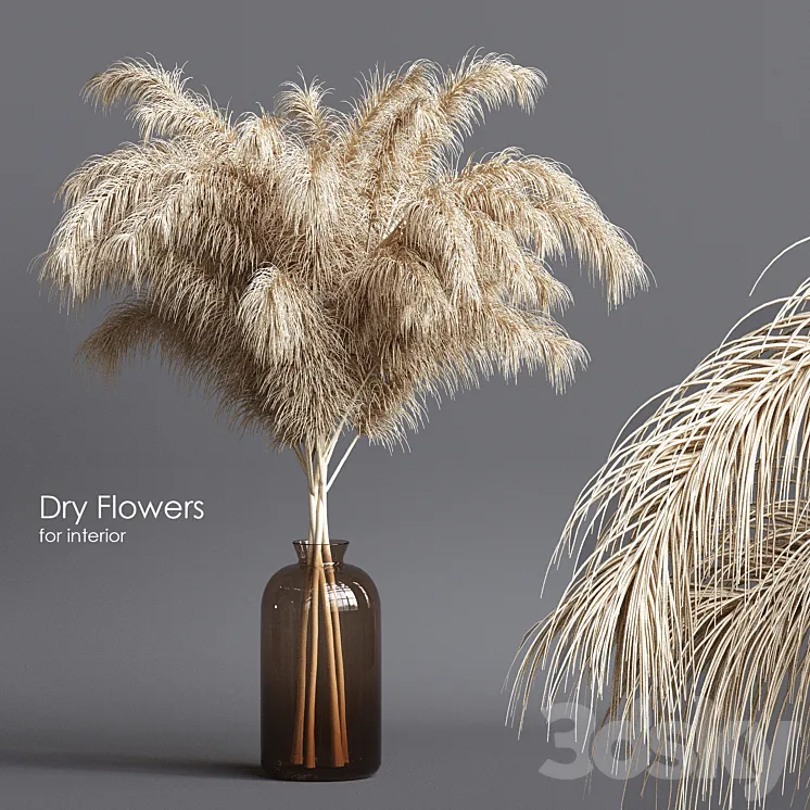 Dry flowers 03 Free Download