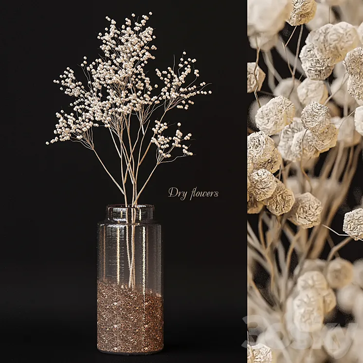 Dry flowers 3D Model Free