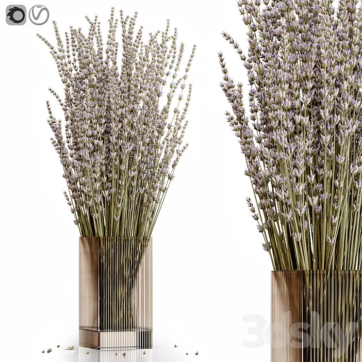 Dry flowers 5 lavender 3D Model Free