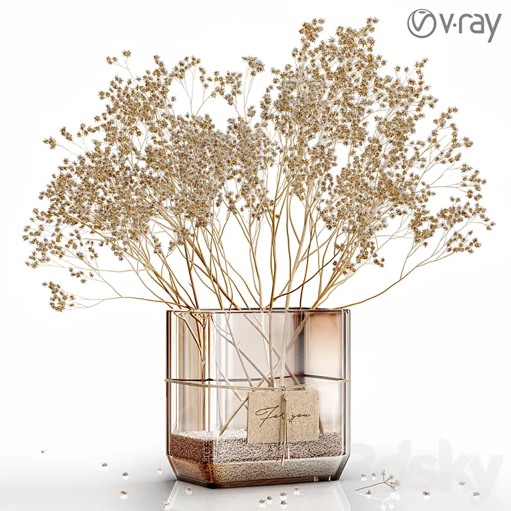 Dry flowers 6 VRAY 3D Model Free