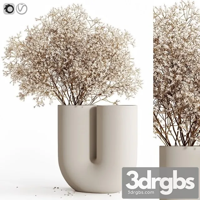 Dry Flowers 9 3D Model Download
