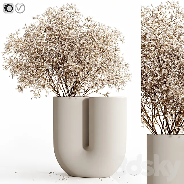 Dry flowers 9 3DModel