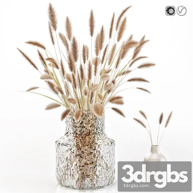 Dry Flowers in Glass Vase 2 3D Model Free
