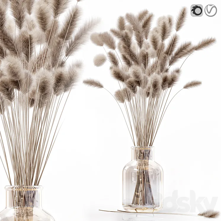 Dry flowers in modern vase 2 Free Download