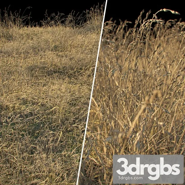 Dry Grass 1 3D Model Free