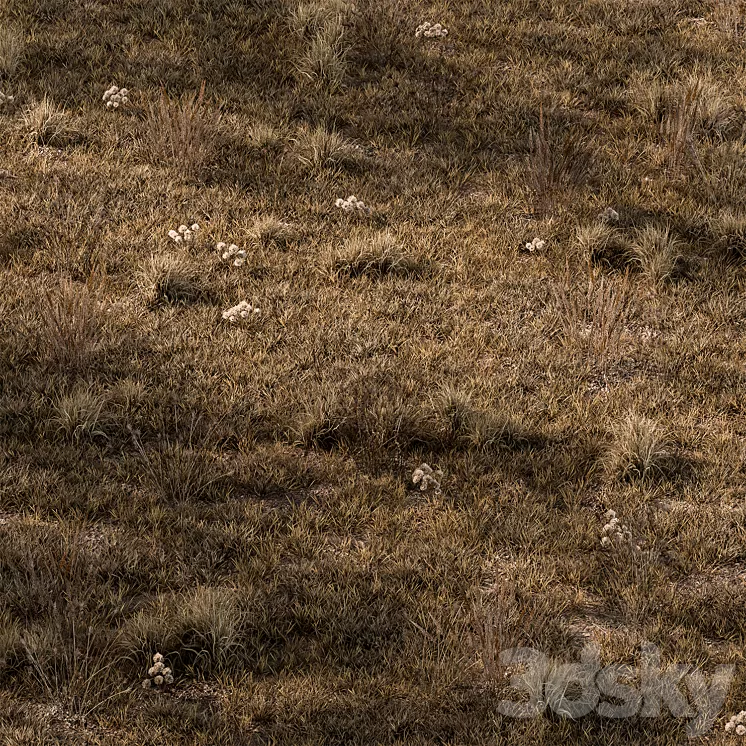 Dry Grass Set 16 3D Model Free
