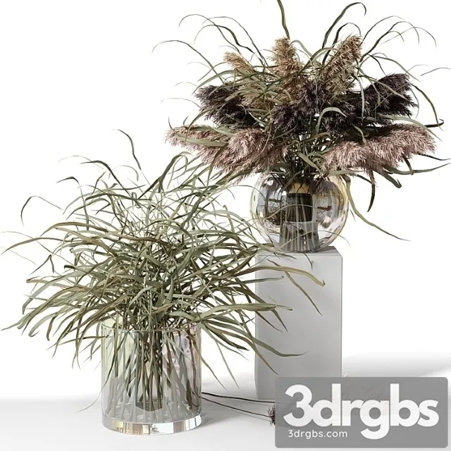 Dry Herb Bouquets in Glass Vases 3D Model Free