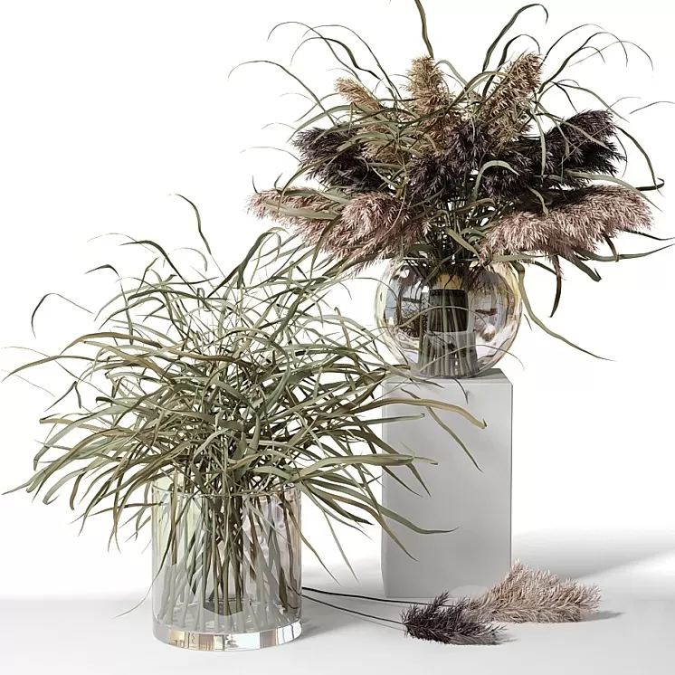 Dry herb bouquets in glass vases 3D Model
