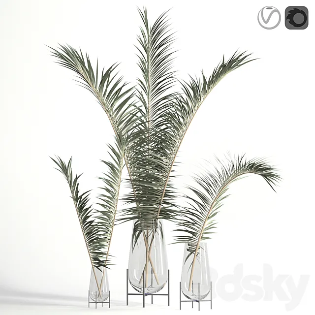Dry palm leaves in Echasse vases 3DModel