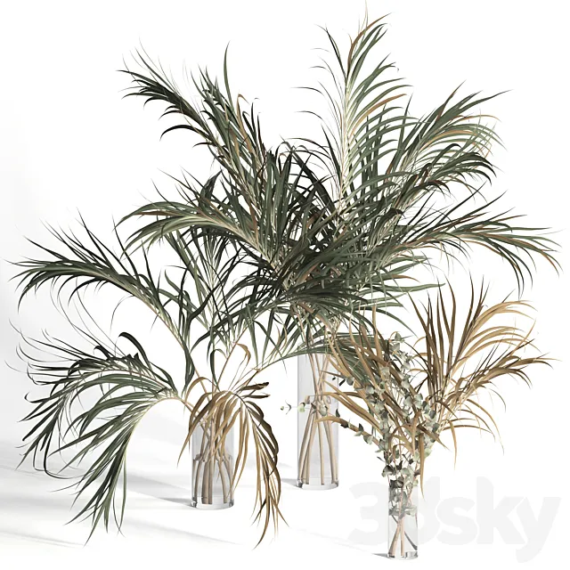 Dry palm leaves in vases 3DModel