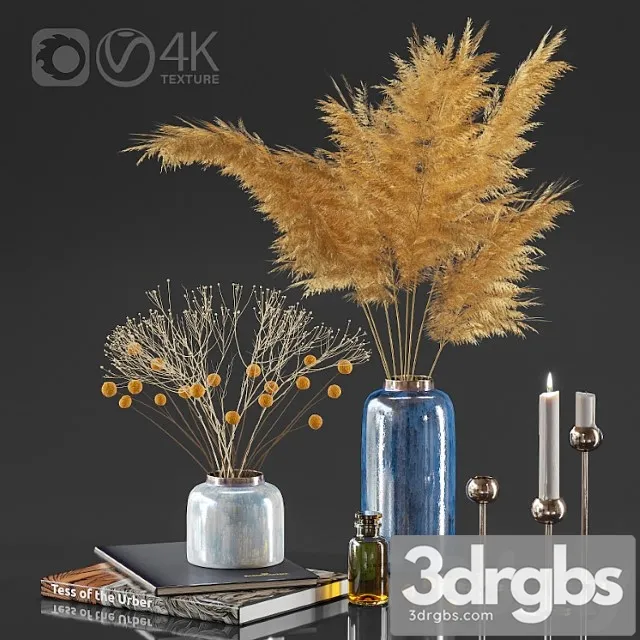 Dry plant decor set