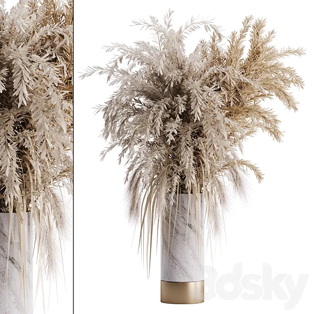 Dry plant set 01 3DModel