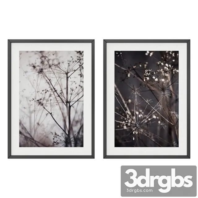 Dry plant set 3D Model Free