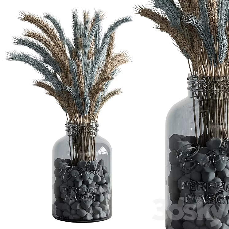 Dry plants 101 - Wheat 3D Model Free