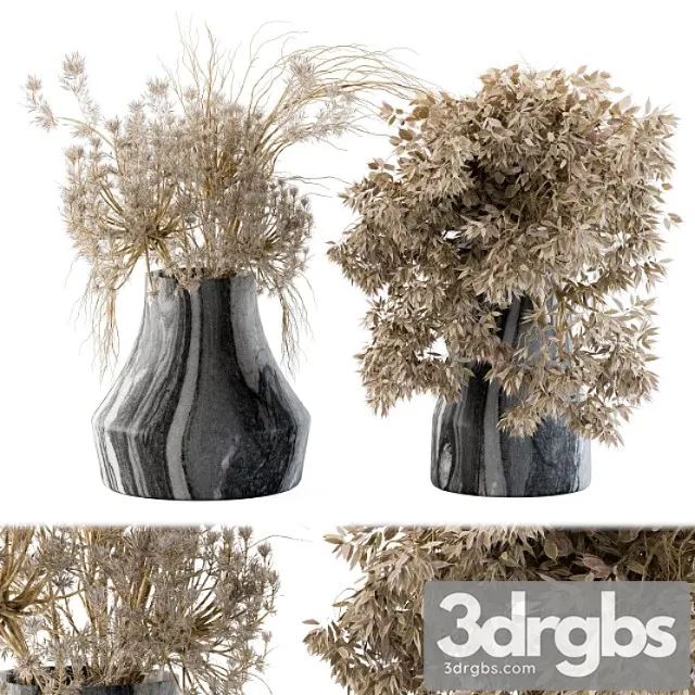 Dry plants 14 3D Model Free