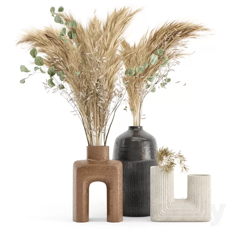 Dry plants 19 - Dried Plantset Pampas with Concrete vase 3D Model Free
