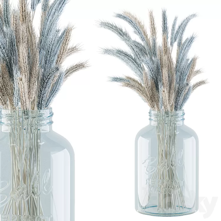 Dry Plants 20 - Blue and Cream Wheat in jam Glass 3D Model