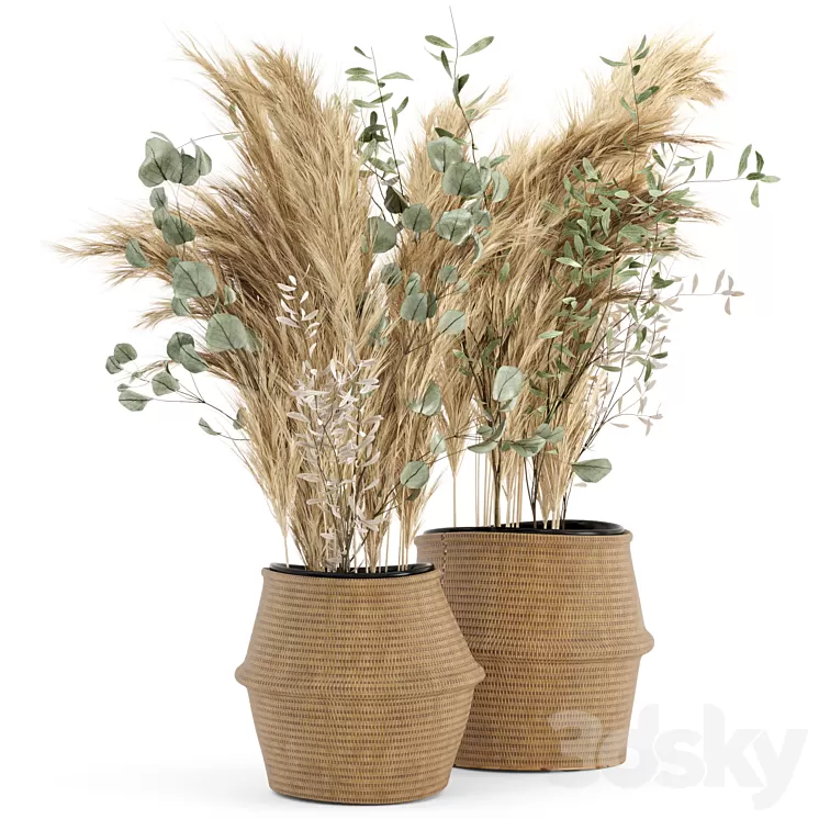 Dry plants 20 - Dried Plantset Pampas set with Wicker Basket 3D Model
