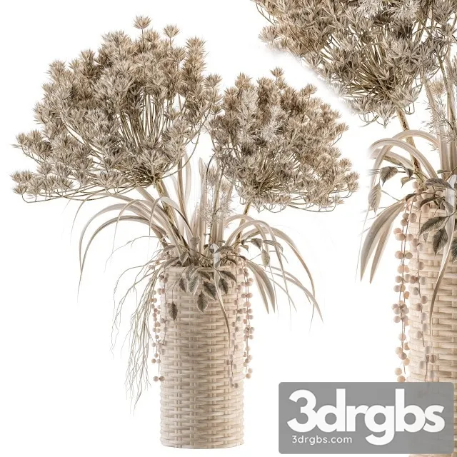 Dry Plants 22 3D Model Free