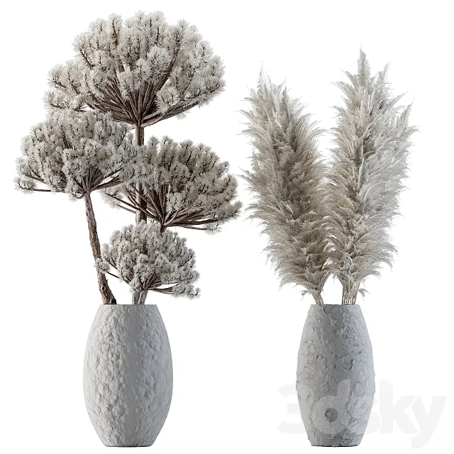 Dry plants 22 - Big Pampas asteroid Pot 3DModel
