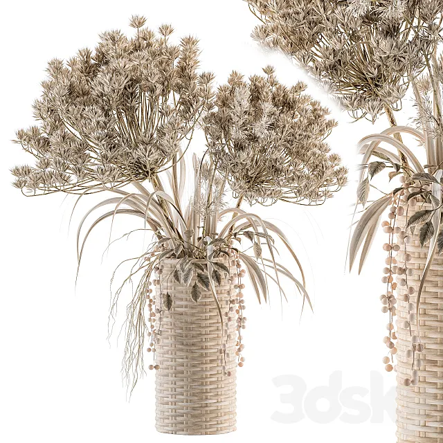Dry plants 22 - dried Bouquet in Wicker Basket Vase 3D Model