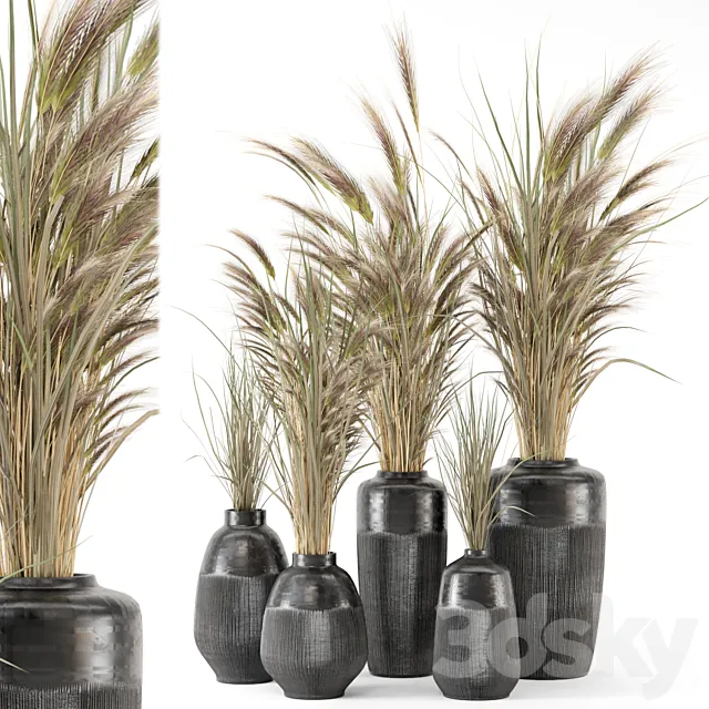 Dry plants 25 - Dried Plantset in handmade vase 3D Model