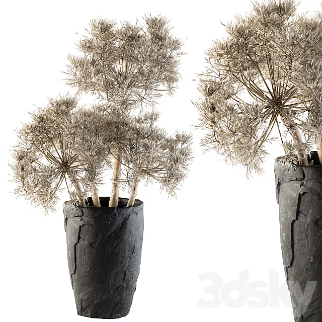Dry plants 32 - Dried Plant 3DModel