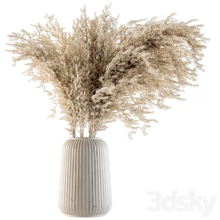 Dry plants 36 - Dried Plant Pampas 3D Model
