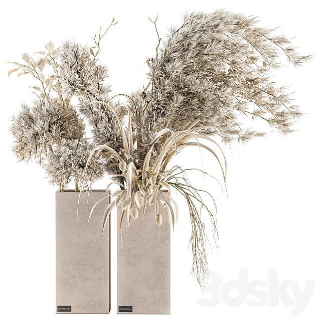 Dry plants 39 - Dried Plant Pampas 3D Model