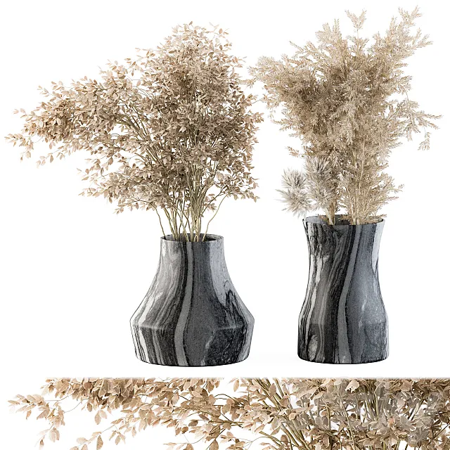 Dry plants 43 - Dried Plant Pampas 3DModel