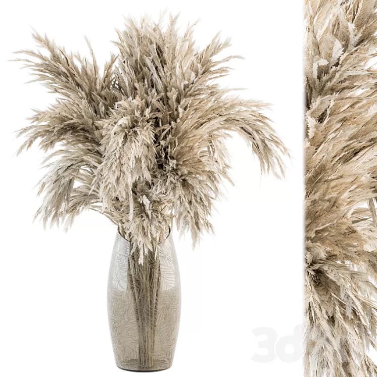 Dry plants 47 - Dried Plant Pampas Bouquet 3D Model