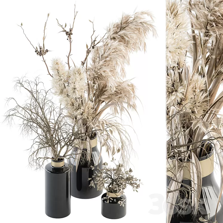 Dry plants 70 - Dried Pampas Set 3D Model
