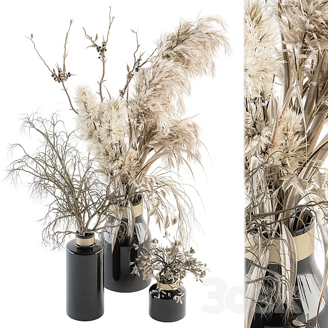 Dry plants 70 - Dried Pampas Set 3DModel