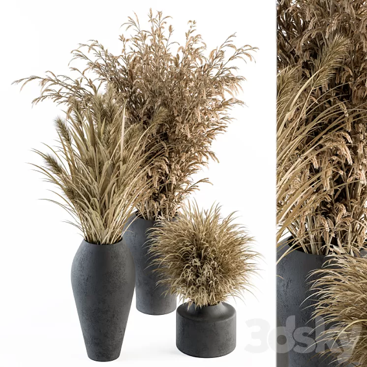 Dry plants 81 - Dried Plants Set 3D Model