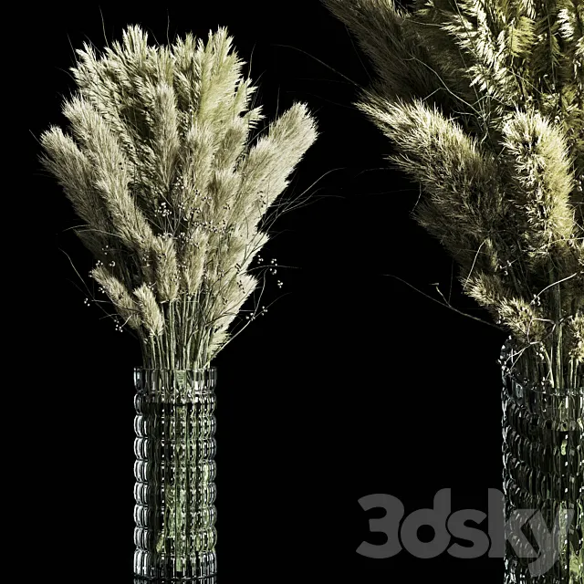 Dry Plants pampas Bouquet Indoor glass vase 3DModel